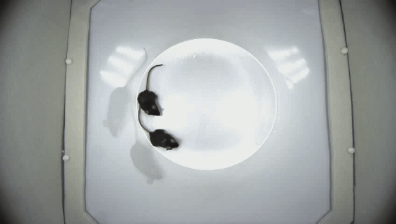 单向靠近